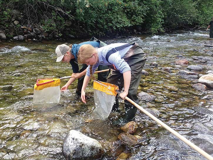 Lake Windermere Ambassadors program co-ordinator Megan Peloso (left) and watershed stewardship assistant Ella Swan conduct a kick net test in Kokanee Creek.