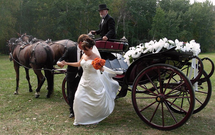 Bride arrives in decorated horse and carriage for an outdoor wedding.