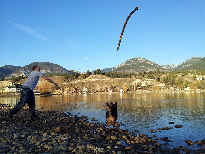 A man throws a stick into a body of water during a game of fetch with his dog
