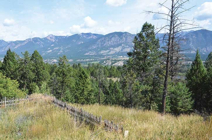 Selkirk Park has become a safe wilderness area for Wilmer residents