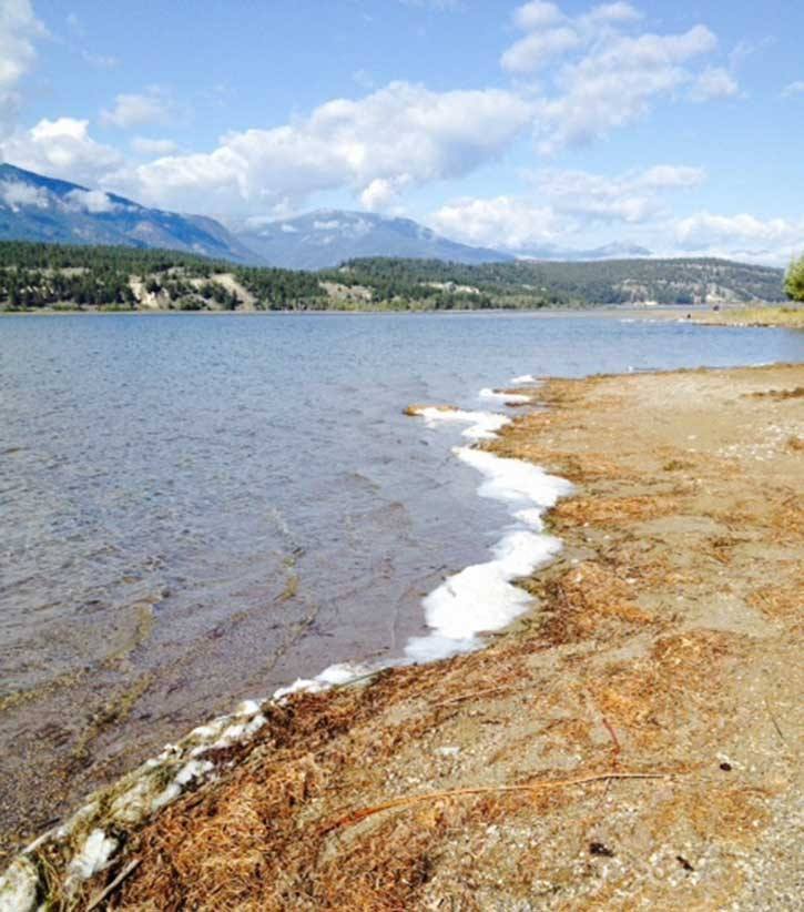 Lake foam accumulating on the shores of Lake Windermere can be both human-made and natural.