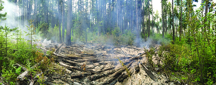 This picture is of a 0.2 hectare fire in the Invermere Fire Zone that occurred on July 24th near the Templeton Forest Service Road.