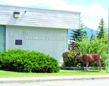 Deer enjoying the foliage outside the court house in Invermere.