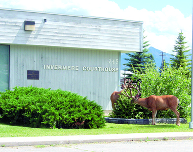 Deer enjoying the foliage outside the court house in Invermere.