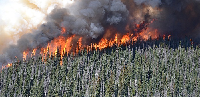 Fire at Eutsuk Lake in Tweedsmuir Provincial Park consumes forest interspersed with beetle-killed pine trees.