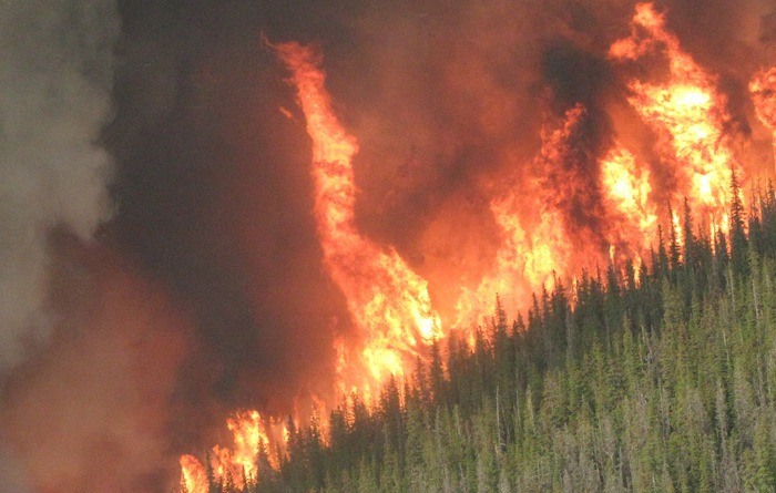 A 'fire tornado' erupts from the Chelaslie River fire in west central B.C.