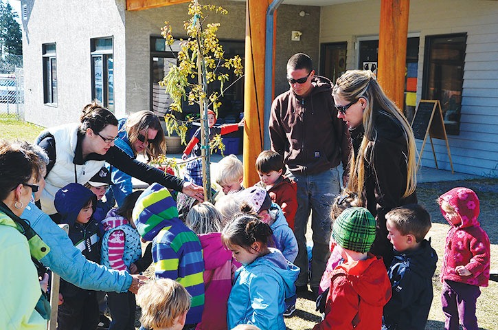 Little Badger Early Learning Program students aged 18 months to five years watched as Oliver from Winderberry Nursery plants a tree for 2013 Earth Day.