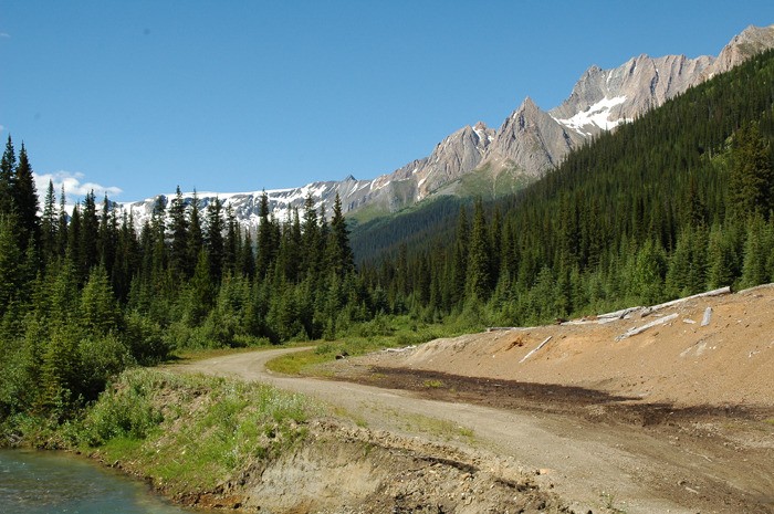 The proposed site of the Jumbo village.