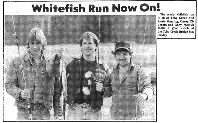 (1983) The yearly whitefish run is on at Toby Creek and Arnie Wassing