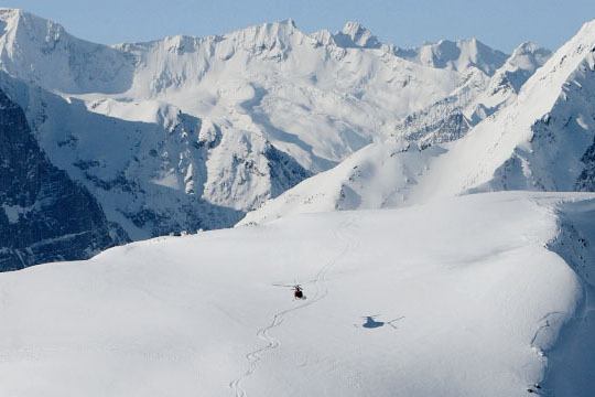 A skier died while heli-skiing near Revelstoke on Friday.