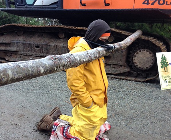 Masked protester interferes with logging operation in the Walbran Valley