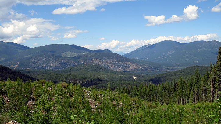 Smoke can be seen billowing in the distance from Doctor Creek