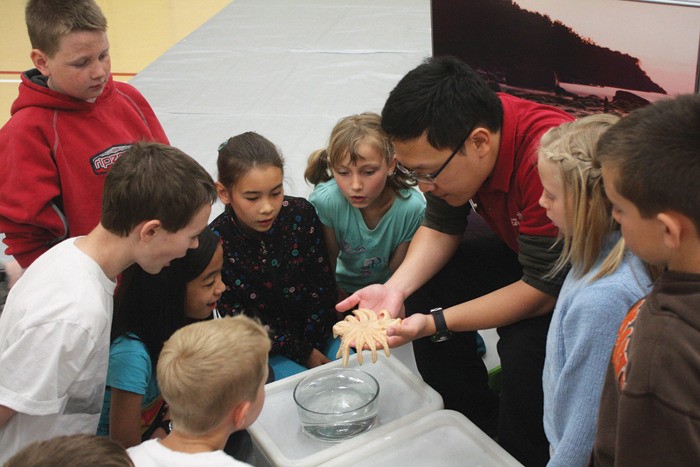 Benson Kwok of the Vancouver Aquarium AquaVan shows off a sea star during the AquaVan visit to Windermere Elementary on Monday (May 28).