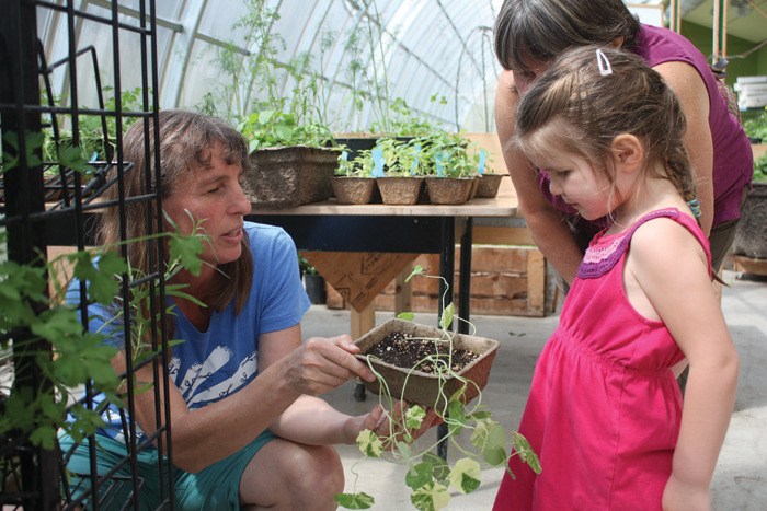 Proceeds from the College of the Rockies' Garden Seeds and Starts Swap and Sale raises money for the community greenhouse's education programming.