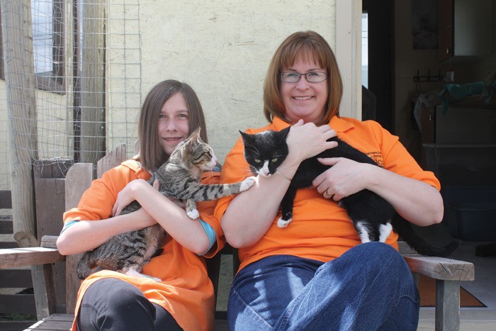 Volunteers at the annual ICAN adoption event on Saturday (May 26).