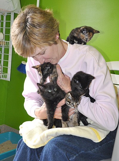 An ICAN volunteer snuggles with new kittens.