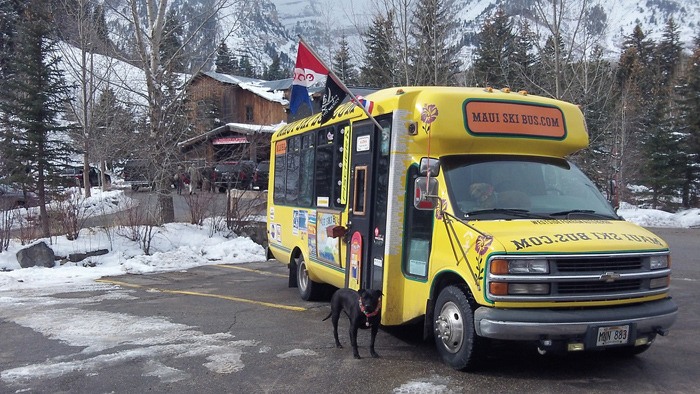 Steve Fisher has been living in his very own Maui Ski Bus for the past several months with his two dogs.