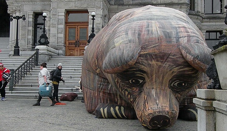 Giant grizzly bear is deflated after protest demanding endangered species legislation last week. It followed minutes after another protest and petition warning against paid donations of blood plasma.
