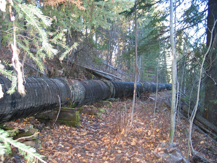 This pipe was installed in the Boulder Creek Diversion Ditch as part of a project to improve water quality.