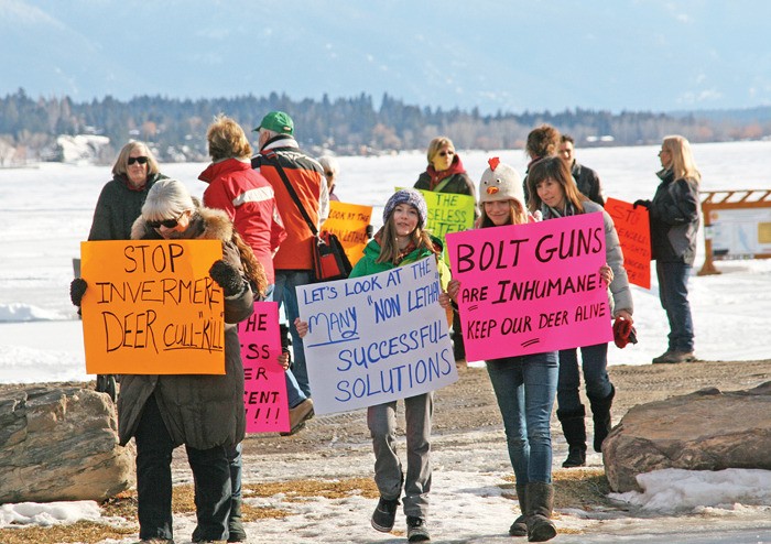 About 30 people opposed to Invermere's deer cull met at Kinsmen beach Friday before walking through the downtown with signs.