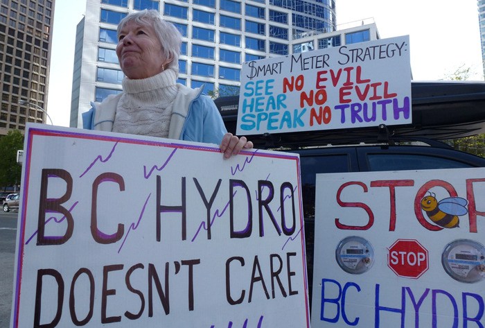 Anti-smart meter protester Sharon Noble greets delegates at B.C.'s 2012 municipal convention in downtown Vancouver. Wireless meters have been blamed for bee deaths