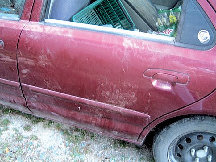 Davena Turvey's car shortly after it was broken into by a bear.