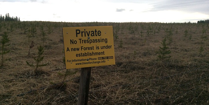 RB Trees notice on a 130 ha farm at Reid Lake near Prince George. It has been planted with trees after being cleared with horses by homesteaders in the early 1900s.