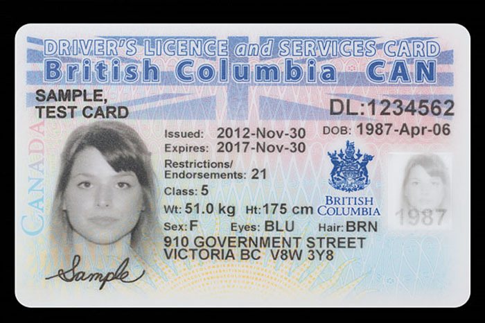 A sample of the new combined driver's licence and health card. A 'BC Services Card' without driving privileges will also be available.
