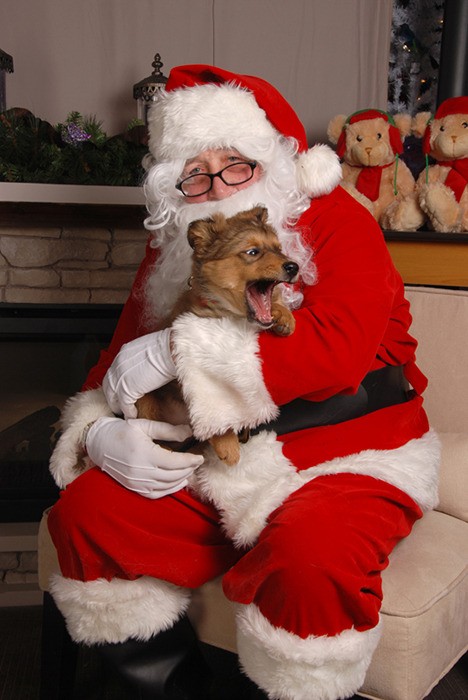 Photos with Santa takes place on December 8 at the Invermere Home Hardware.