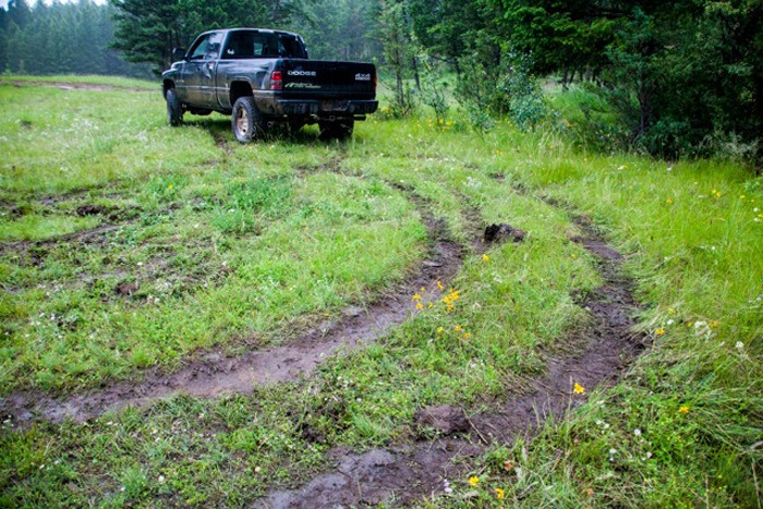 Tracks left by campers and partiers at Lake Enid in the spring. The Columbia Valley Recreation Access Coalition has begun a consensus-based process amongst various user groups in different sectors to establish a management plan for both the forecountry and backcountry in the valley that will help prevent this type of degradation.