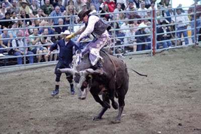 Bull Ridin' in the Rockies