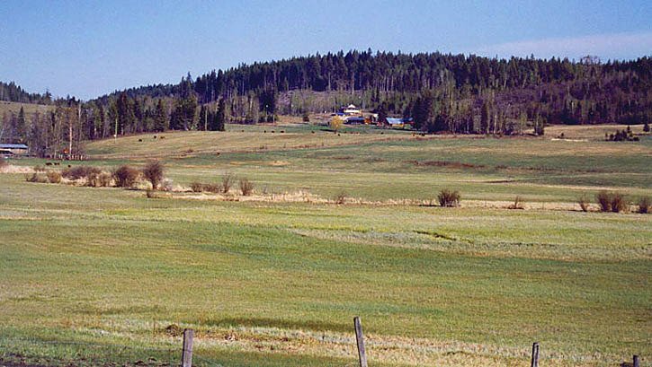Ranch for sale at Horsefly in the Cariboo. Quesnel Mayor Bob Simpson says Horsefly and Likely are the latest areas of interest to buy land to plant trees for European carbon offsets.