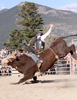 A bull rider gets throttled during 2010's Bull Riding event in Invermere.
