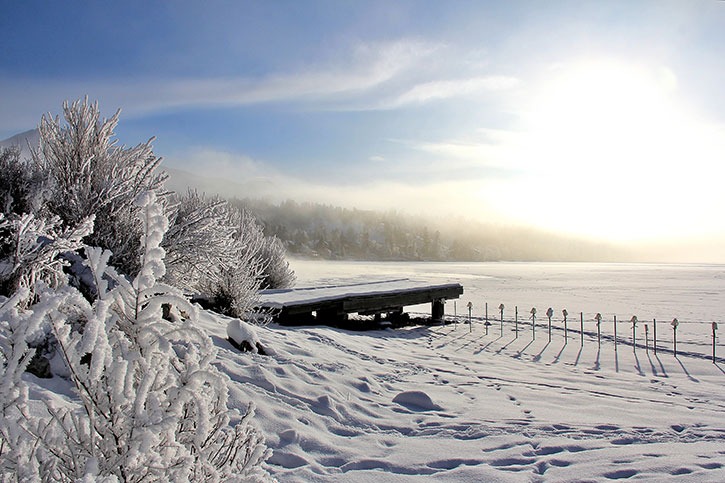 WINTER MEMORY... Another beautiful image taken late January by photographer Sylvie Ashby