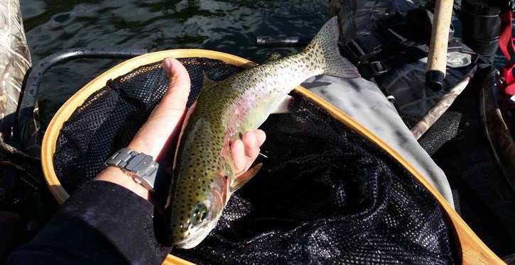 Courses offer loaner equipment and training in casting and proper fish handling.