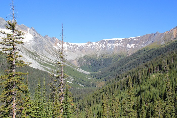 The proposed site of the Jumbo Resort.