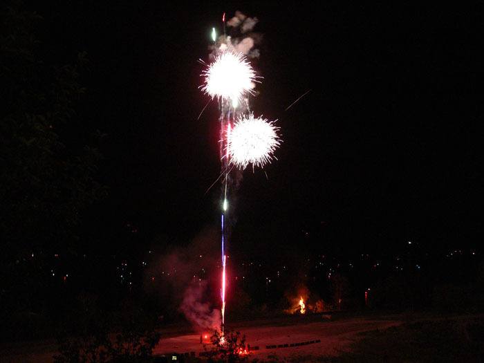 Residents with dogs are reminded to be extra vigilant during the Canada Day fireworks as the noise can easily spook pet