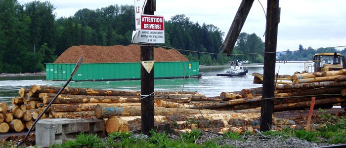 Forest products are mostly harvested from Crown land in B.C.