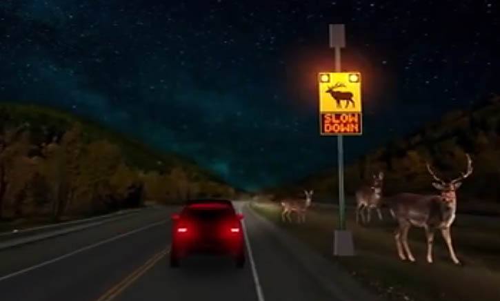 Radar and thermal imaging cameras detect large animals approaching the road