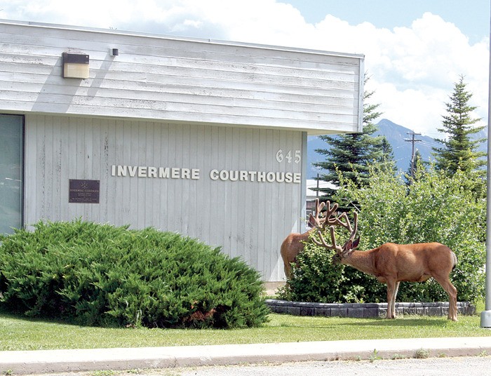 While a cull of Invermere deer is set to begin soon