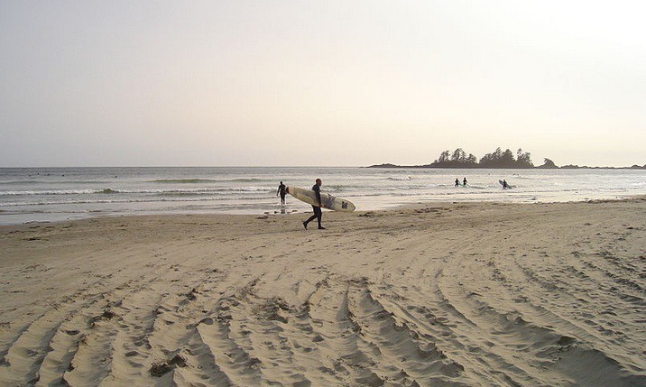 Surfers head out into the swells in Tofino