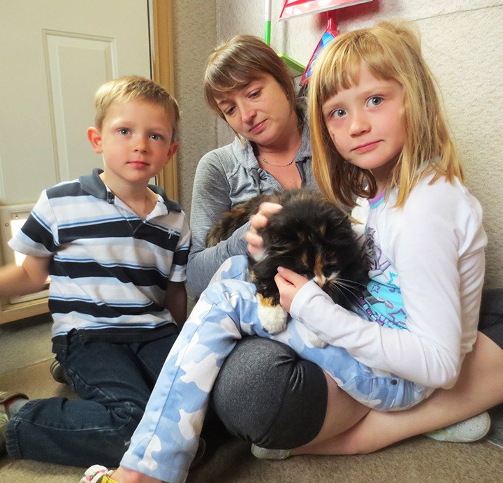 Ritzy the cat reunited with her original guardians after six years. Pictured here are mom Kara Cassidy (centre) with Ayden Stringer (left) and Avery Stringer holding Grandma Ritzy.