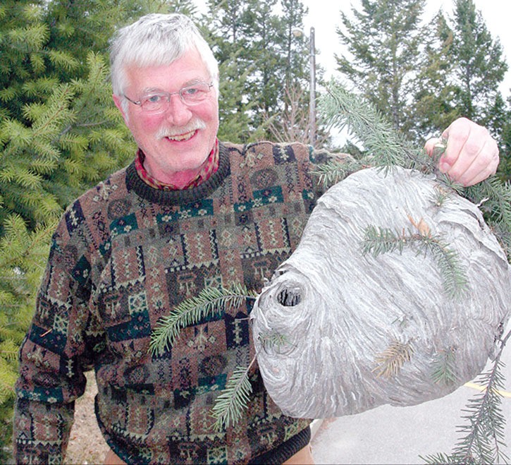 2007 — Radium Hot Springs resident Gorm Larsen displays the massive wasp nest he cut from  a tree bordering his home.