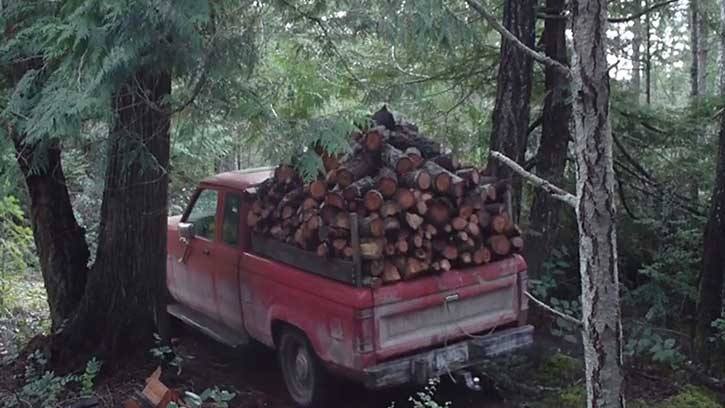People collecting firewood from Crown land for the purpose of heating their homes must carry Free Uise Firewood Cutting Permits with them during their cutting