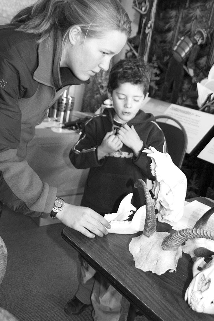 October 2007 —  Assistant wildlife biologist Stephanie Peacock shows Headbanger Tour-goer seven-year-old Ethan Elliott some of the bighorn sheep artifacts at the Radium Visitor Centre on October 27th.