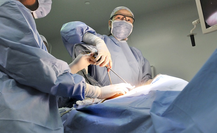 Private clinics may be permitted to go beyond day surgery to multi-day patient stays.