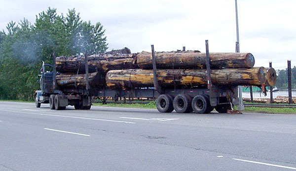 Does this trucker get equipment input credits from the HST? Yes. Does he work for a 'big business'? No.