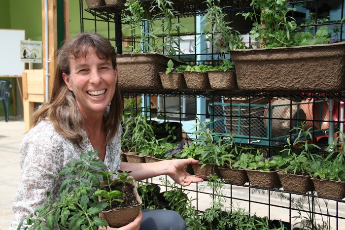 Community greenhouse education co-ordinator Ally Candy shows off the work done by students and members of the community who have potted a number of plants and herbs in preparation for the College of the Rockies' annual Garden Seeds and Starts Swap and Sale that takes place at the greenhouse on Saturday (May 26).