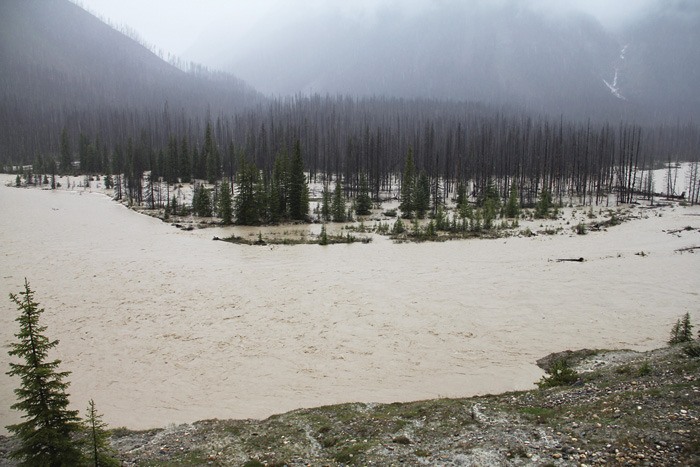 Vermilion River in Kootenay National Park has seen especially high water levels in the past several days.