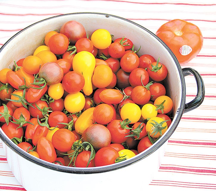 Edible Acres’ delicious heirloom tomatoes were just one of the many locally grown treats to be had at this year’s Pig Out event.